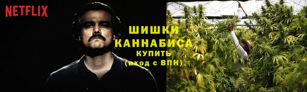 стафф Семёнов