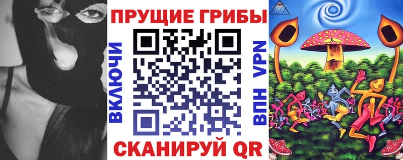 магазин    Зея  Галлюциногенные грибы ЛСД 